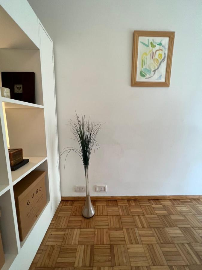 Apartmán Acogedor Mono En Palermo Chico. Excelente Ubicacion! Buenos Aires Exteriér fotografie