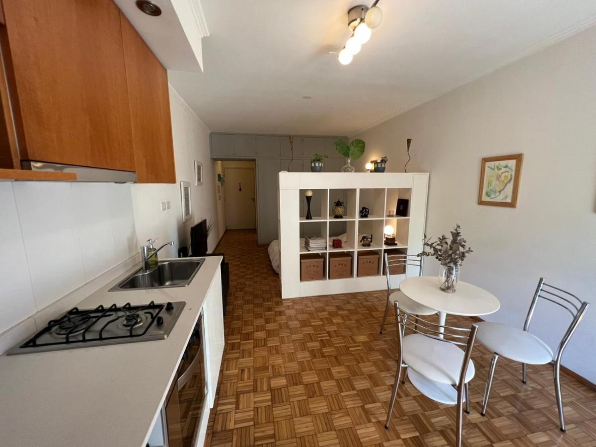 Apartmán Acogedor Mono En Palermo Chico. Excelente Ubicacion! Buenos Aires Exteriér fotografie